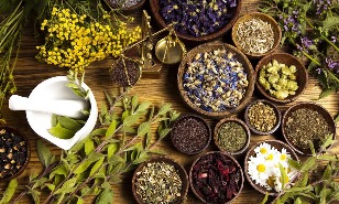 Herbs improve sexual potency